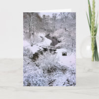 Snowy Town Brook Plymouth MA