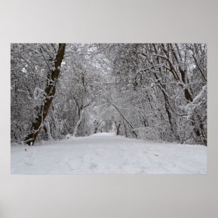 Snowy Trail Poster