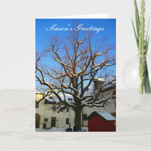 snowy tree greetings holiday card