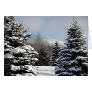 snowy tree scene