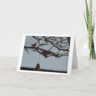 Snowy Tree With Cardinals Card