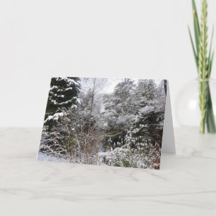 Snowy Trees Card