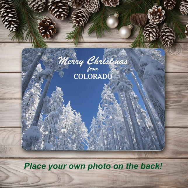 Snowy Trees from Colorado Photo Template (Creator Uploaded)
