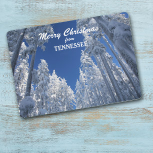 Snowy Trees from Tennessee Photo Template
