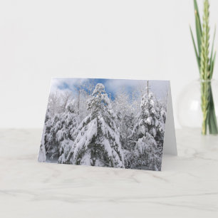 Snowy Trees Holiday Card