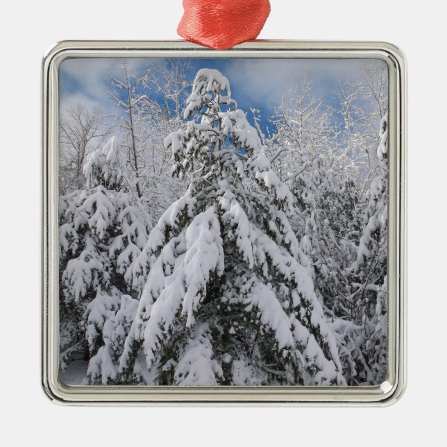 Snowy Trees Metal Tree Decoration (Front)