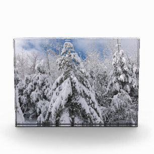 Snowy Trees Photo Block