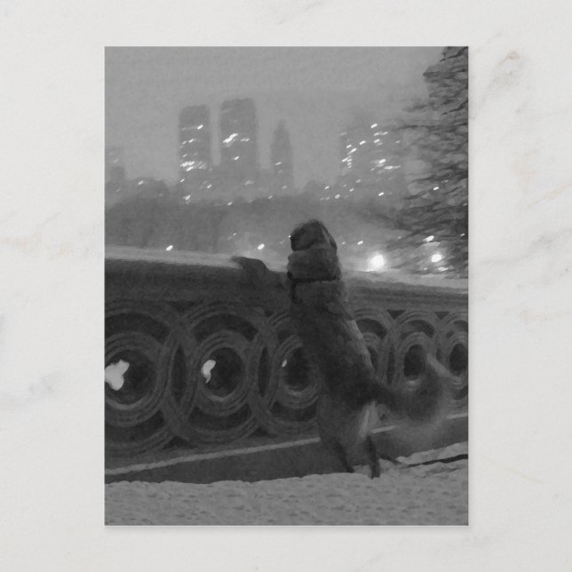 "Snowy View from Bow Bridge" Central Park, NYC Postcard (Front)