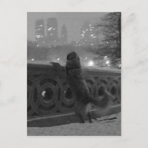 Snowy View from Bow Bridge-Central Park Postcard