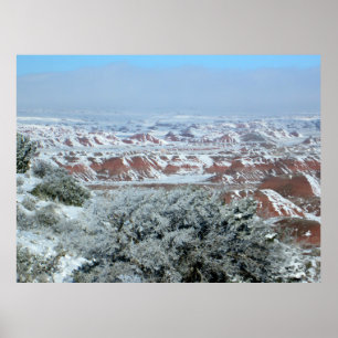 Snowy Vista of Petrified Forest Poster