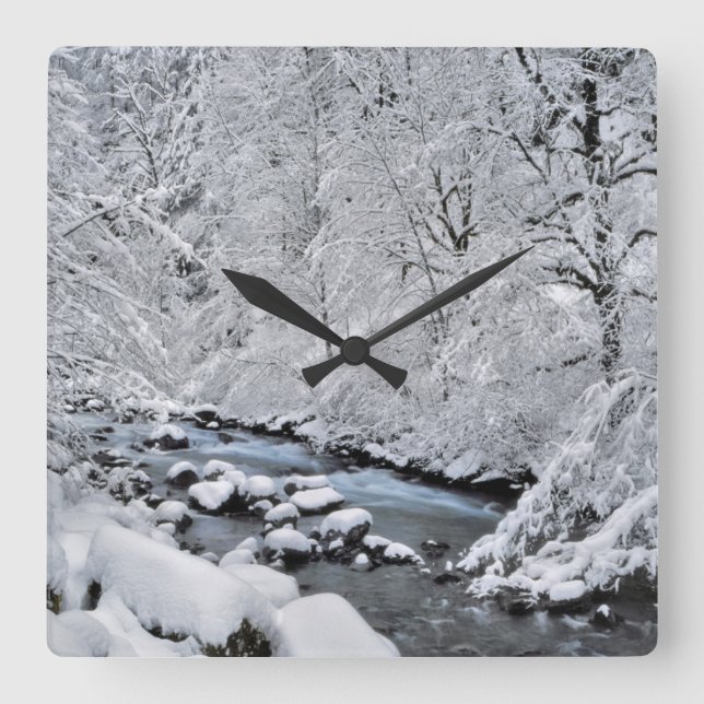 Snowy white creek scenic, Oregon Square Wall Clock (Front)