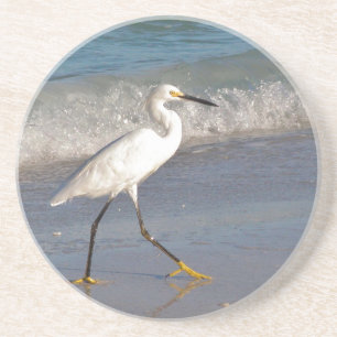 Snowy White Egret Coaster
