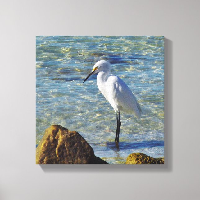 Snowy White Egret in Surf Canvas Print (Front)
