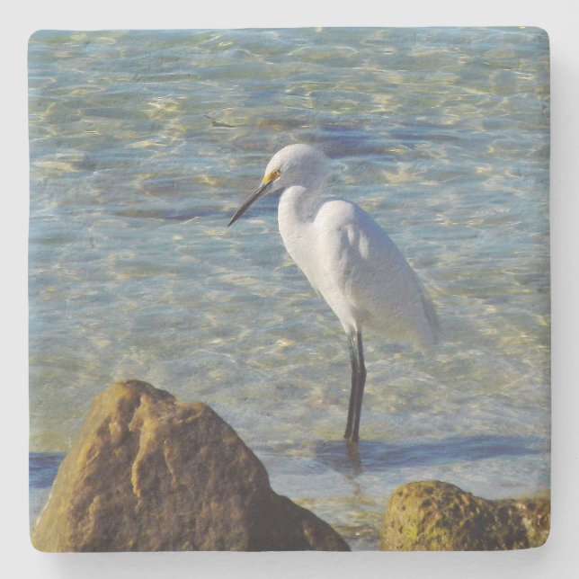 Snowy White Egret Stone Coaster (Front)
