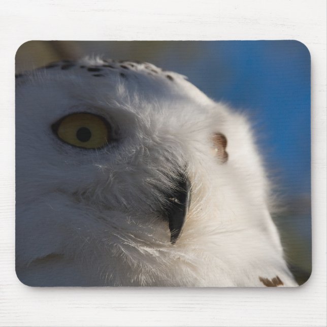 Snowy White Owl Mouse Pad (Front)