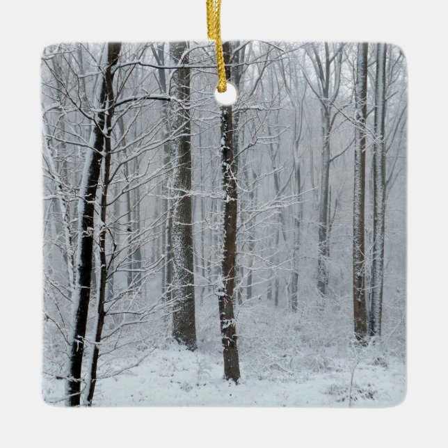 Snowy White Poplar Forest Ceramic Ornament (Front)