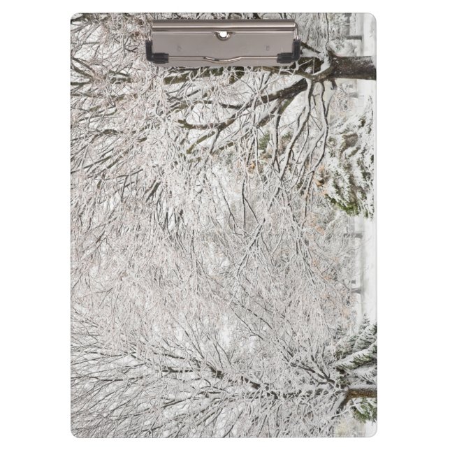 Snowy Winter Forest Clipboard (Front)