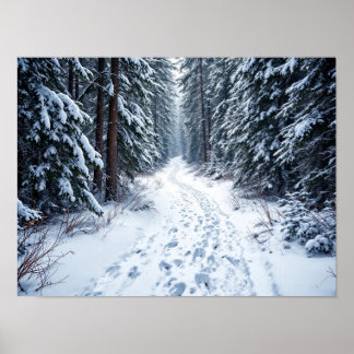 Snowy Winter Forest Path With Footprints Hiking Poster