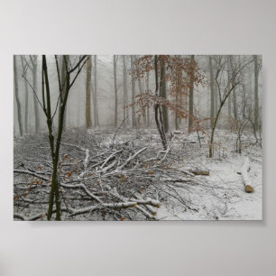 Snowy Winter Forest Poster