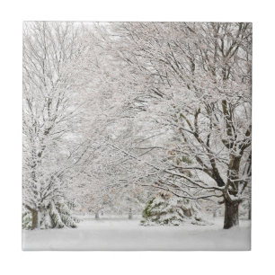 Snowy Winter Forest Tile