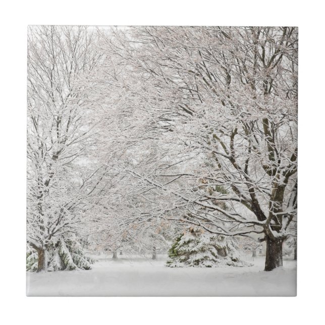 Snowy Winter Forest Tile (Front)