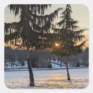 Snowy winter landscape in New England Square Sticker