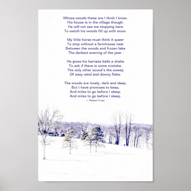 Snowy Winter Landscape Poster (Front)
