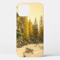 Snowy Winter Path with Pine Trees