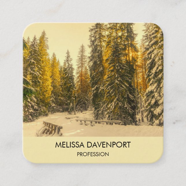 Snowy Winter Path with Pine Trees Photograph Square Business Card (Front)