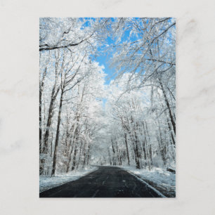 Snowy Winter Road Scene Postcard