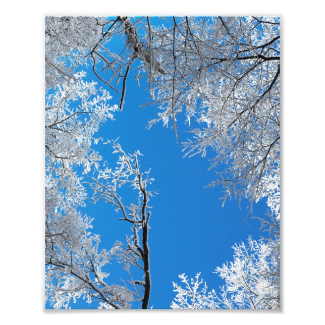 Snowy Winter Scene Photo Print (Front)