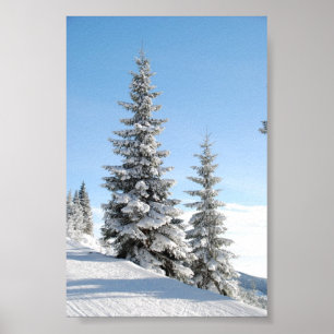 Snowy Winter Scene with Christmas Trees Poster