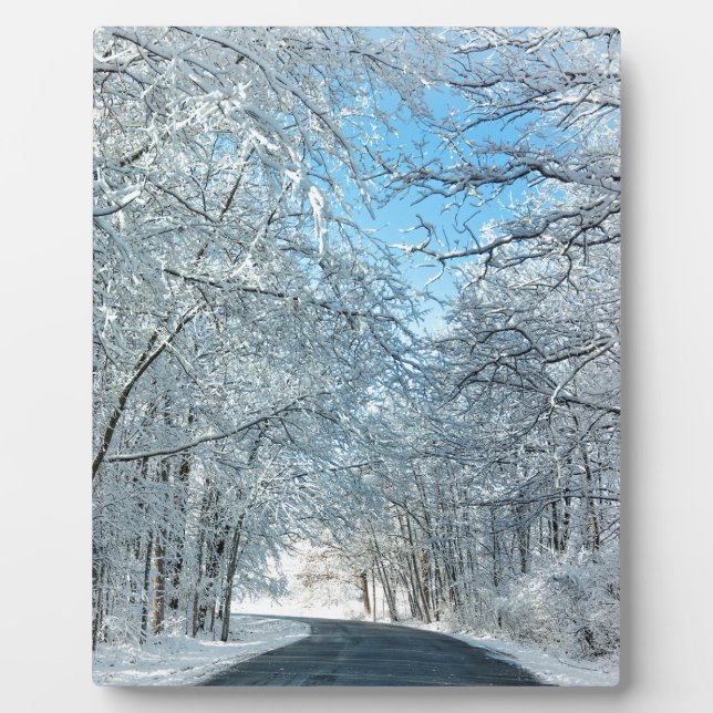Snowy Winter Trees Plaque (Front)