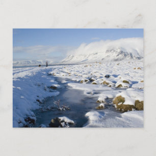 Snowy Winterland Postcard