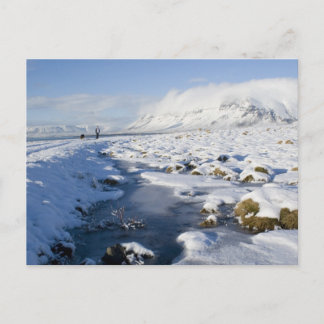 Snowy Winterland Postcard
