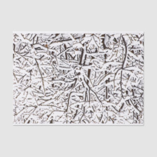Snowy Wintry Trees Tissue Paper