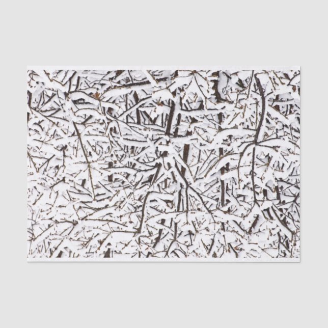 Snowy Wintry Trees Tissue Paper (Front)