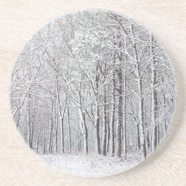Snowy Woods Coaster (Front)
