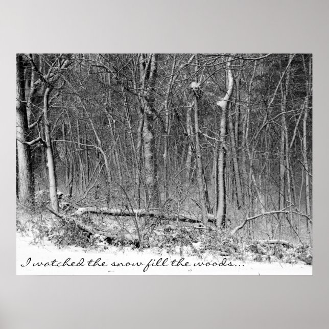 Snowy Woods Poster (Front)
