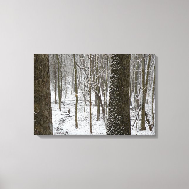 Snowy Woods Scene Canvas Print (Front)