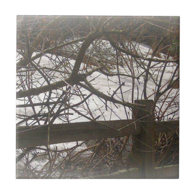 Snowy Woods Tile (Front)