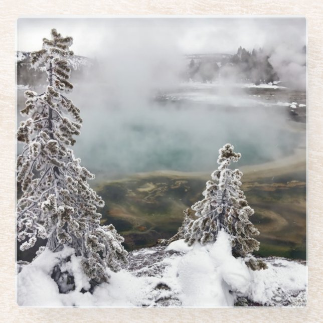 Snowy Yellowstone Glass Coaster (Front)