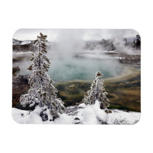 Snowy Yellowstone Magnet