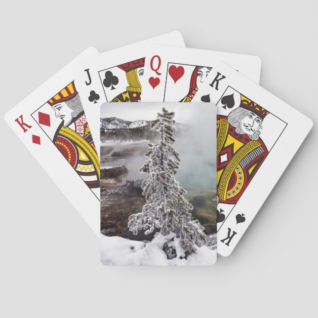 Snowy Yellowstone Playing Cards (Back)