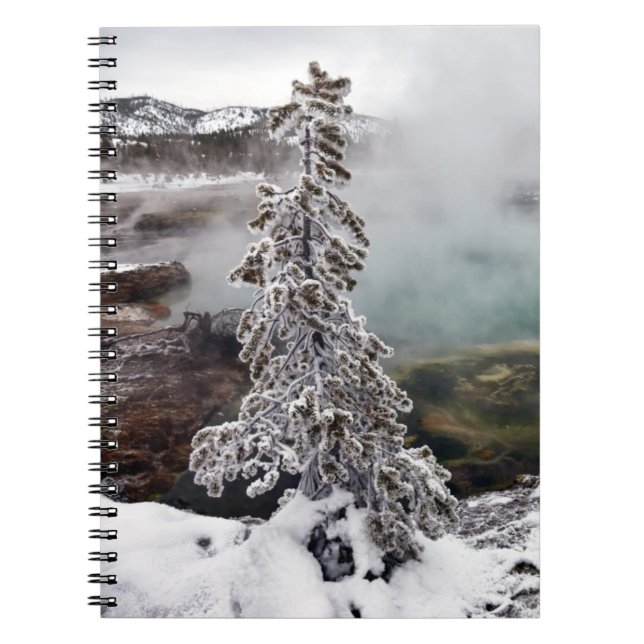 Snowy Yellowstone Spiral Notebook (Front)