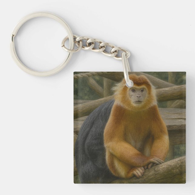 Snub-Nosed Monkey in Woodland Refuge Key Ring (Front)