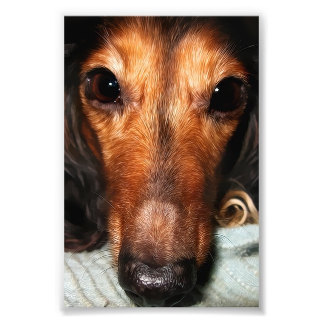 Snuggle Bugs Mackenzie Photo Print (Front)