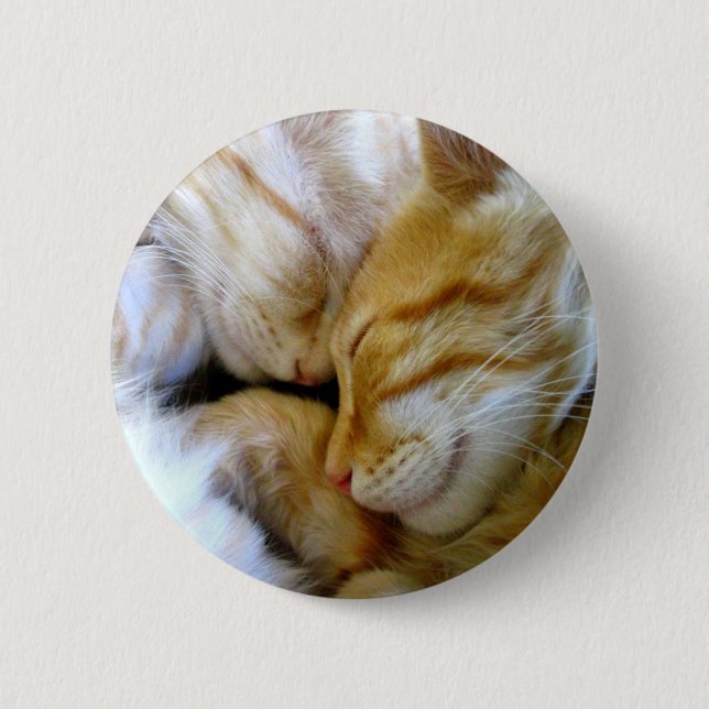 Snuggle Kittens Button (Front)