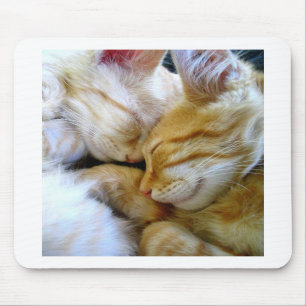 Snuggle Kittens Mousepad