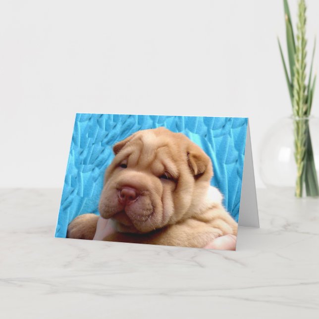 Snuggle Me Greeting Card (Front)